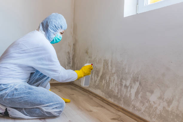 Crawl Space Mold Remediation treatment of floor joists in Newton Upper Falls